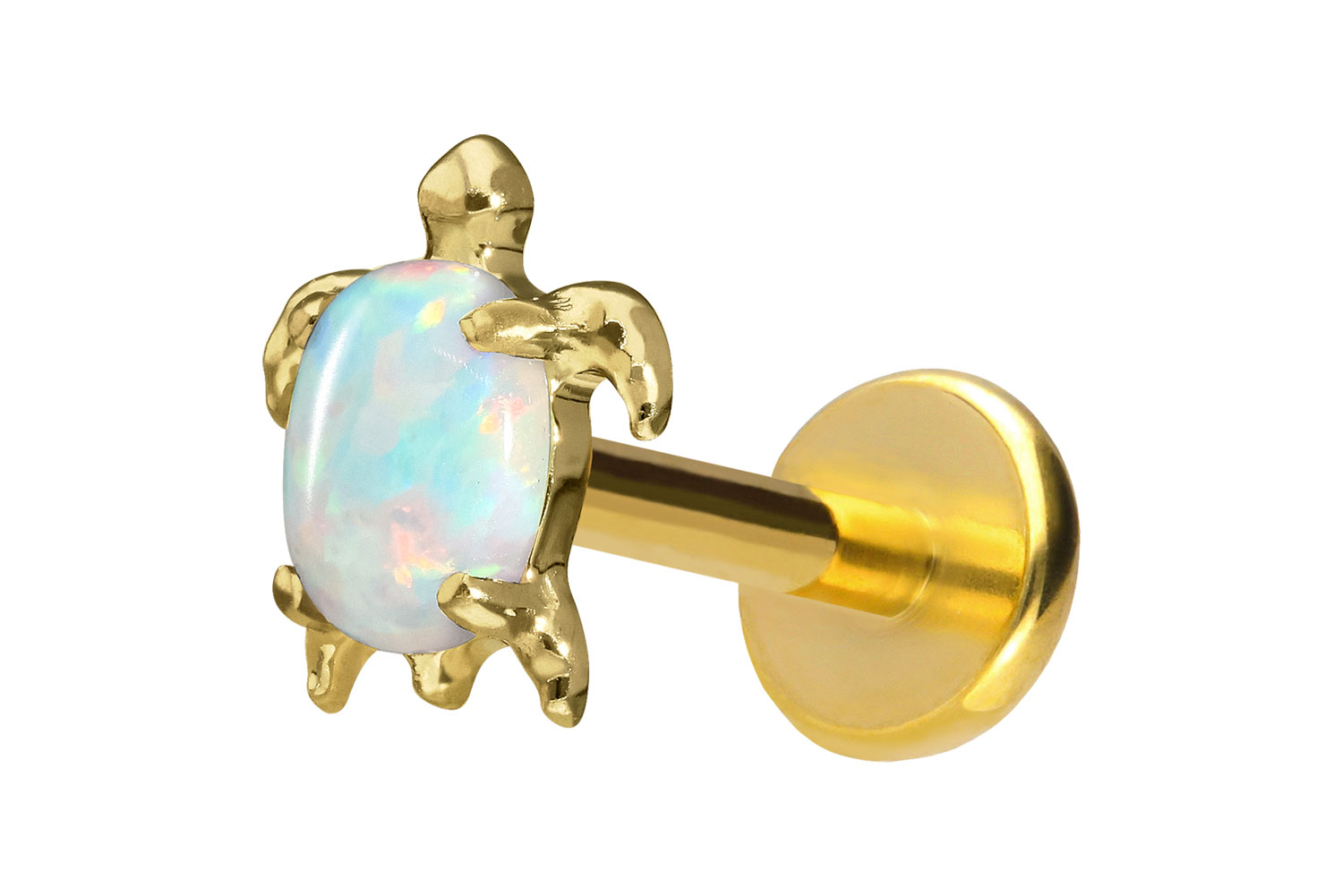 Titan Labret Piercing mit Push Fit SCHILDKRÖTE